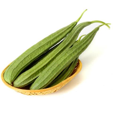 Ridge Gourd