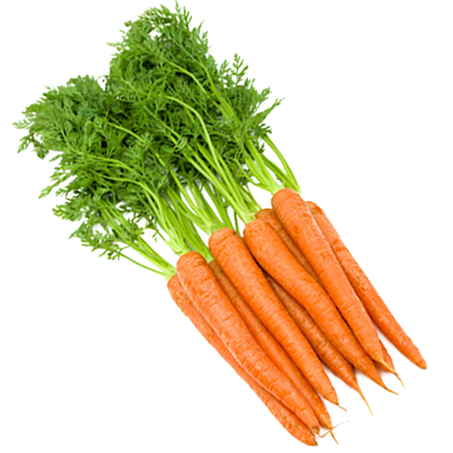 Carrots