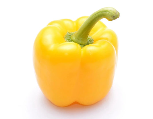 Capsicum Yellow
