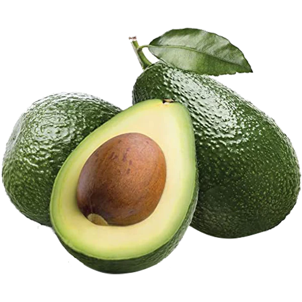 Avocado Fruit