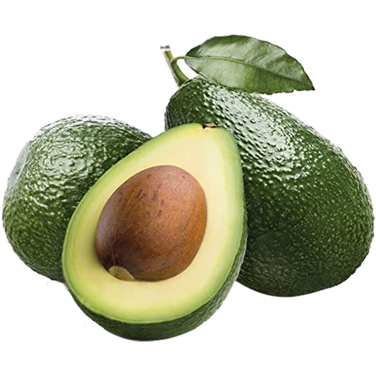 Avocado Fruit