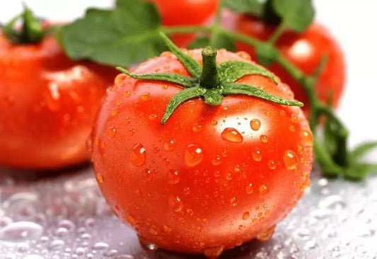 Tomato