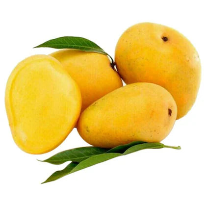 Mango Himsagar