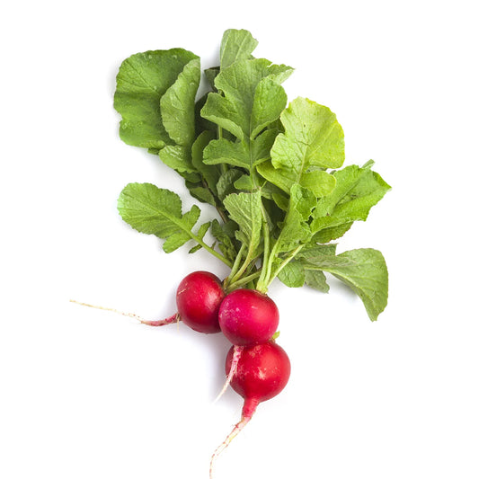 Red radish | Veggycation