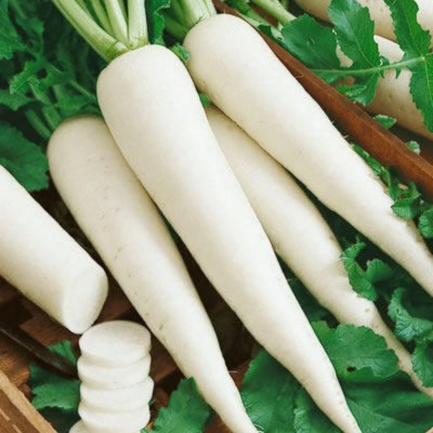 Organic White Radish